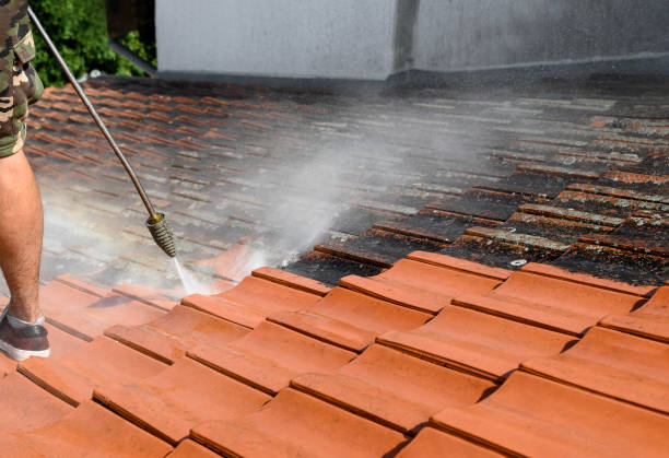 Best Garage Pressure Washing  in Lorena, TX